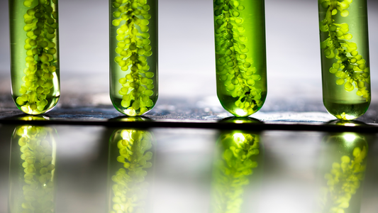 A Beginner’s Guide to Biohacking for Longevity